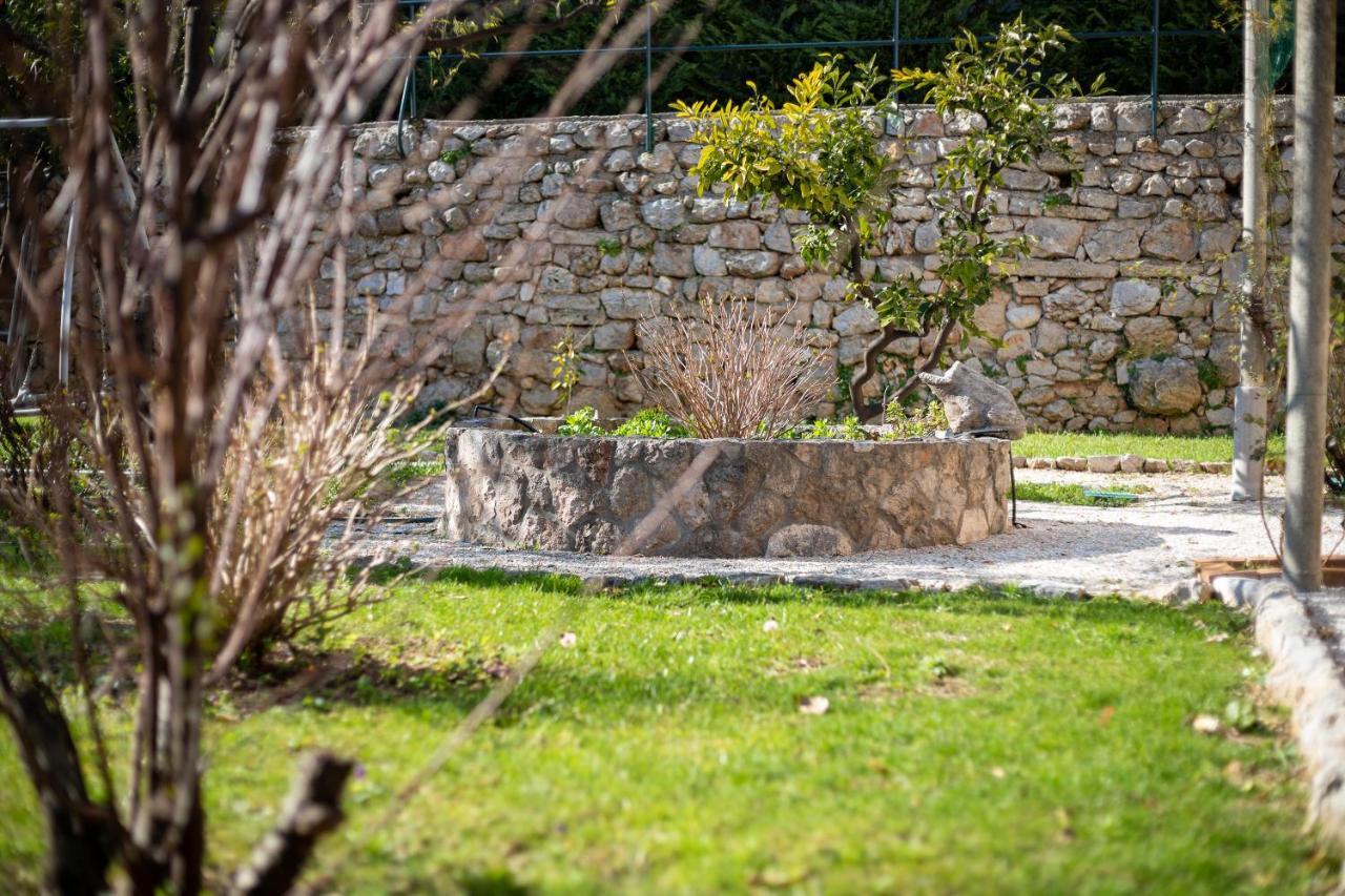 Apartment Villa Ahava Garden Dubrovnik Exteriör bild